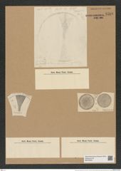 Coscinodiscus radiosus Grun. (de-Toni-Nr.: Genus 202, Species 4982) Zeichnungen Sammlung Grunow Nr. 8598 (NHMW-BOT-W0378255)